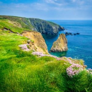 Meet your Posher, Hugh